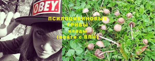 меф Дмитров