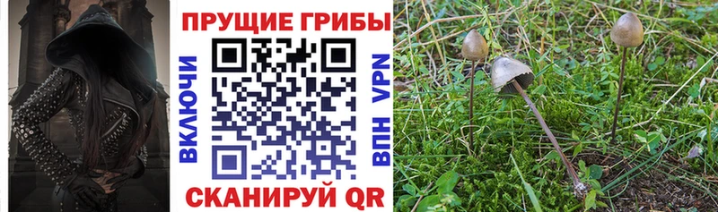 закладка ОМГ ОМГ сайт Галлюциногенные грибы GOLDEN TEACHER Керчь